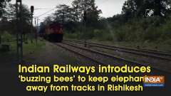Indian Railways introduces 'buzzing bees' to keep elephants away from tracks in Rishikesh