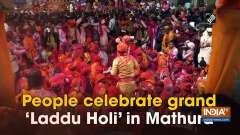 People celebrate grand 'Laddu Holi' in Mathura