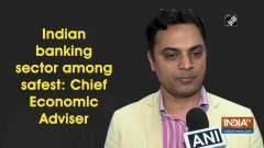 Indian banking sector among safest: Chief Economic Adviser