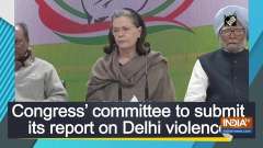 Congress' committee to submit its report on Delhi violence