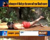 Consume healthy diet along with asanas like tadasana, uttanpadasana to lose weight