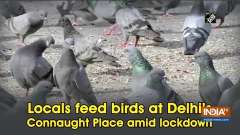 Locals feed birds at Delhi's Connaught Place amid lockdown