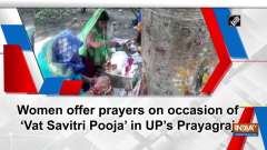 Women offer prayers on occasion of 'Vat Savitri Pooja' in UP's Prayagraj