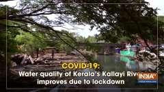 COVID-19: Water quality of Kerala's Kallayi River improves due to lockdown