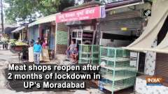 Meat shops reopen after 2 months of lockdown in UP's Moradabad