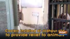 Coolers installed at Jodhpur zoo to provide relief to animals