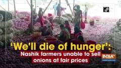 'We'll die of hunger': Nashik farmers unable to sell onions at fair prices