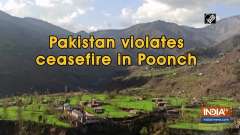 Pakistan violates ceasefire in Poonch