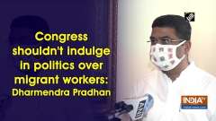 Congress shouldn't indulge in politics over migrant workers: Dharmendra Pradhan