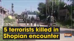 5 terrorists killed in Shopian encounter