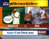 Watch India TV's show Virus Ka Viral Sach | June 8, 2020