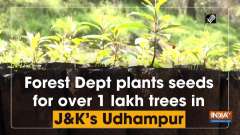 Forest Dept plants seeds for over 1 lakh trees in JK's Udhampur
