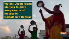 Watch: Locals clang utensils to drive away swarm of locusts in Rajasthan's Beawar