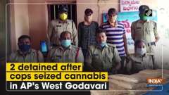 2 detained after cops seized cannabis in AP's West Godavari