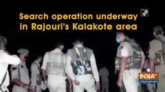 Search operation underway in Rajouri's Kalakote area