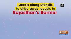 Locals clang utensils to drive away locusts in Rajasthan's Barmer