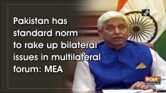 Pakistan has standard norm to rake up bilateral issues in multilateral forum: MEA