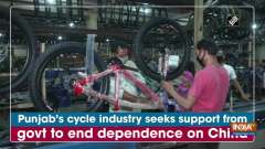 Punjab's cycle industry seeks support from govt to end dependence on China