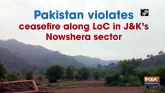 Pakistan violates ceasefire along LoC in J-K's Nowshera sector