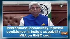 'International community reposed confidence in India's capability': MEA on UNSC seat