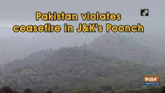 Pakistan violates ceasefire in J-K's Poonch
