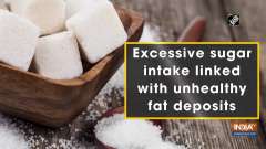 Excessive sugar intake linked with unhealthy fat deposits