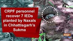 CRPF personnel recover 7 IEDs planted by Naxals in Chhattisgarh's Sukma