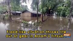 Flood-like situation throws life out of gear in Assam's Tinsukia
