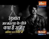 Sushant Singh Rajput Death Investigation: Mumbai police questioned 27 so far