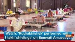Watch: 'Rudrabhishek' performed with 1 lakh 'shivlings' on Somvati Amavasya