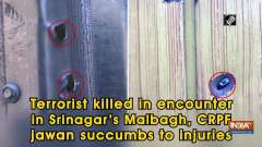 Terrorist killed in encounter in Srinagar's Malbagh, CRPF jawan succumbs to injuries