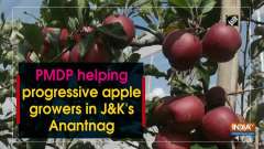 PMDP helping progressive apple growers in J-K's Anantnag