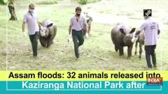 Assam floods: 32 animals released into Kaziranga National Park after treatment