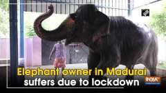 Elephant owner in Madurai suffers due to lockdown