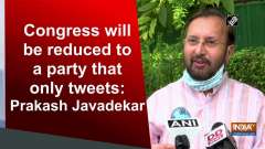 Congress will be reduced to a party that only tweets: Prakash Javadekar