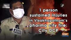 1 person sustained injuries in Visakhapatnam's pharma city fire: City DCP