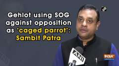 Gehlot using SOG against opposition as 'caged parrot': Sambit Patra