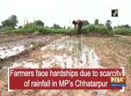 Farmers face hardships due to scarcity of rainfall in MP's Chhatarpur