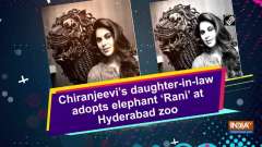 Chiranjeevi's daughter-in-law adopts elephant 'Rani' at Hyderabad zoo