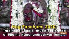 Nag Panchami 2020: Traditional 'pooja' rituals performed at Ujjain's Nagchandreshwar Temple