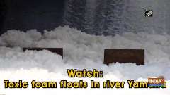 Watch: Toxic foam floats in river Yamuna