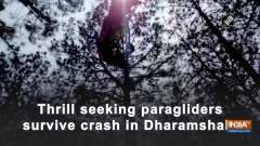 Thrill seeking paragliders survive crash in Dharamshala