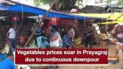 Vegetables prices soar in Prayagraj due to continuous downpour