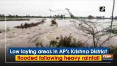Low laying areas in AP's Krishna District flooded following heavy rainfall