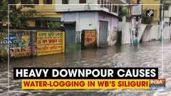 Heavy downpour causes water-logging in WB's Siliguri