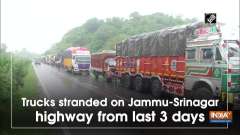 Trucks stranded on Jammu-Srinagar highway from last 3 days