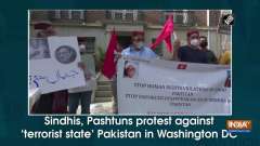 Sindhis, Pashtuns protest against 'terrorist state' Pakistan in Washington DC