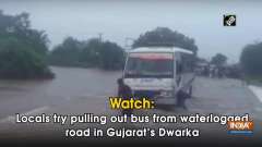 Watch: Locals try pulling out bus from waterlogged road in Gujarat's Dwarka
