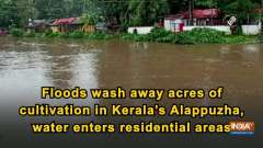 Floods wash away acres of cultivation in Kerala's Alappuzha, water enters residential areas