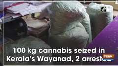 100 kg cannabis seized in Kerala's Wayanad, 2 arrested